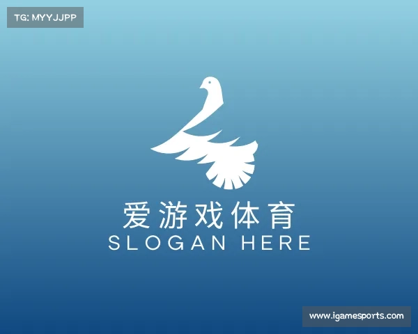 解读爱游戏体育